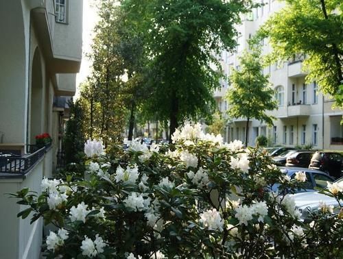 Guest house Majesty Berlin